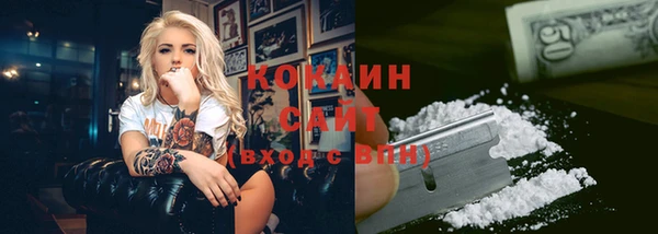 сатива Краснослободск