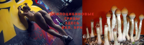 сатива Краснослободск