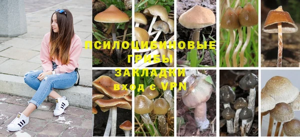 каннабис Костерёво