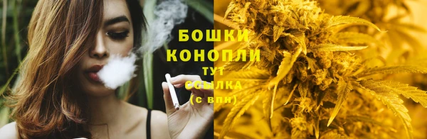 сатива Краснослободск