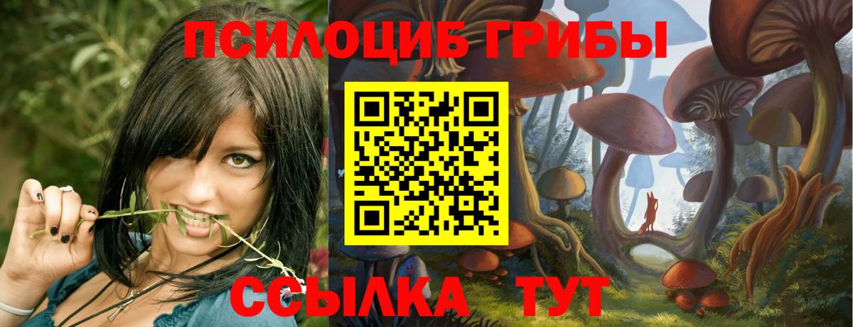 Лабытнанги  Псилоцибиновые грибы ЛСД  Псилоцибиновые грибы MAGIC MUSHROOMS  Вход с VPN 
